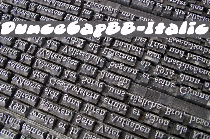 DunceCapBB-Italic Font examples