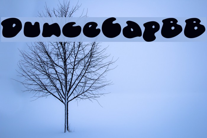 DunceCapBB Font examples