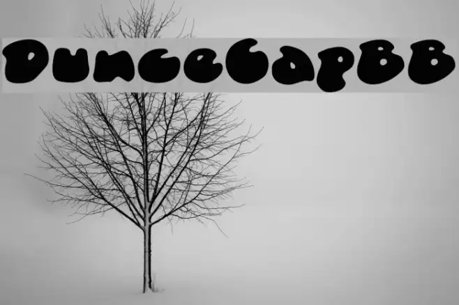 DunceCapBB Example 2