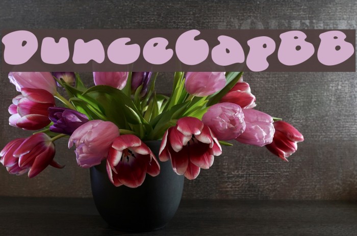 DunceCapBB Font examples