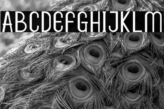 Dunchan Font examples