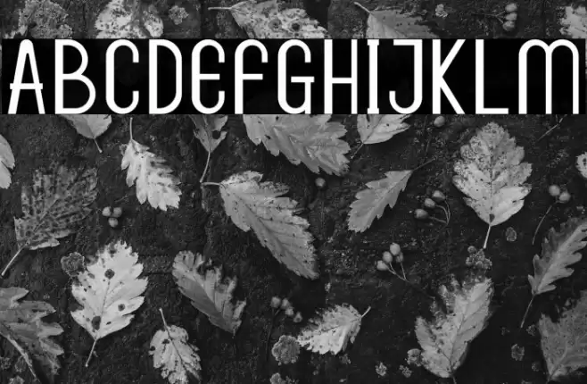 Dunchan Font examples