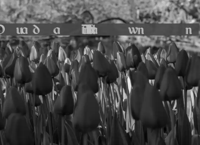 Dundalk_HandDrawn Font examples