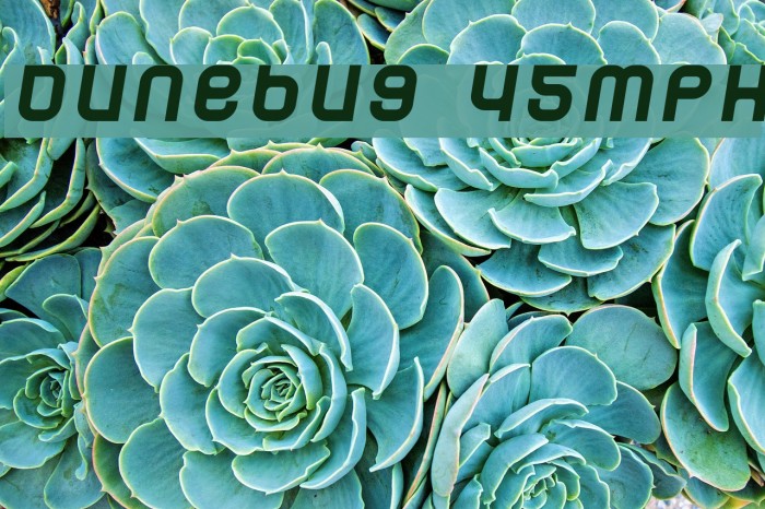 Dunebug 45MPH Font examples