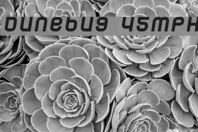 Dunebug 45MPH خط examples