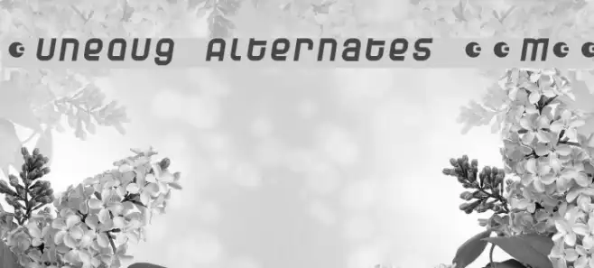 Dunebug Alternates 45MPH Example 2