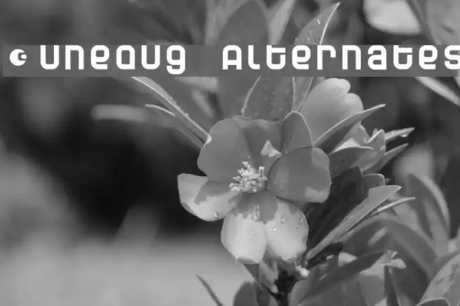 Dunebug Alternates Шрифта examples