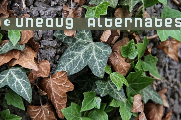 Dunebug Alternates Font examples