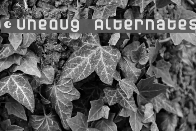 Dunebug Alternates Шрифта examples