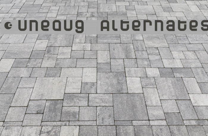 Dunebug Alternates Font examples