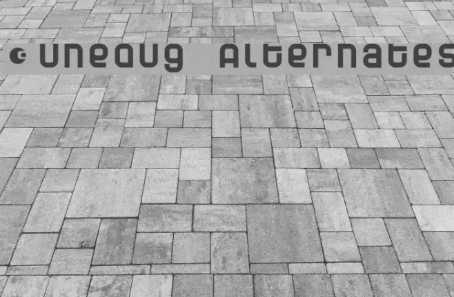 Dunebug Alternates Шрифта examples