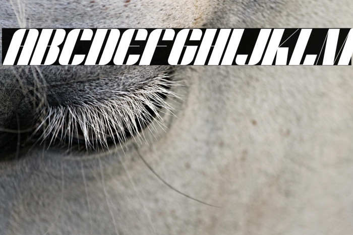 Dunford moore Italic Example 1