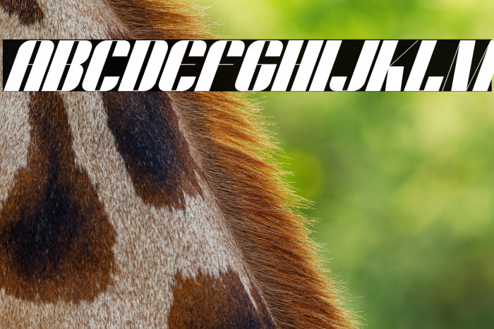 Dunford moore Italic Example 3