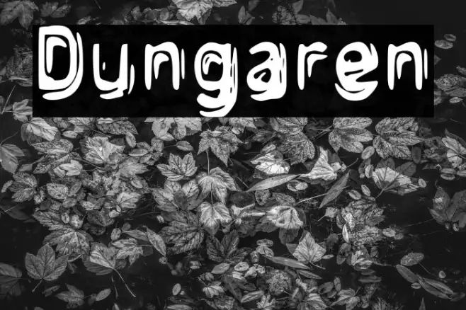 Dungaren Example 2