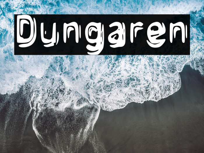 Dungaren Example 3