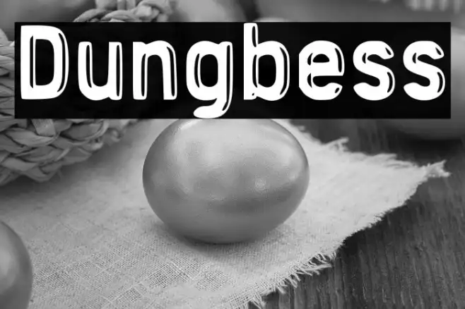 Dungbess Example 1
