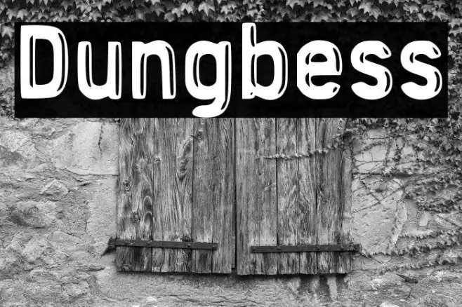Dungbess Example 3