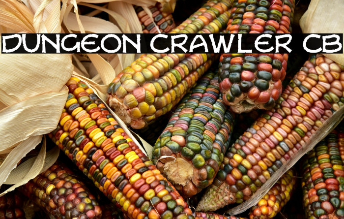 Dungeon Crawler CB Example 3