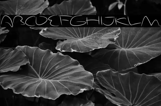 DunkGodox Font examples