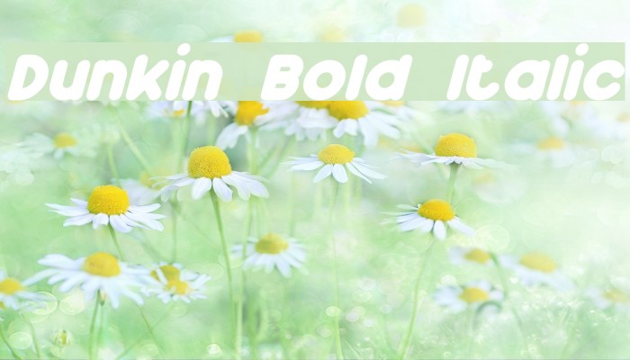 Dunkin Bold Italic Font examples