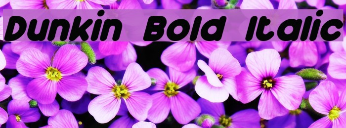 Dunkin Bold Italic Font examples