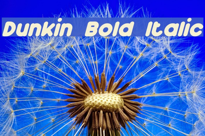 Dunkin Bold Italic Font examples