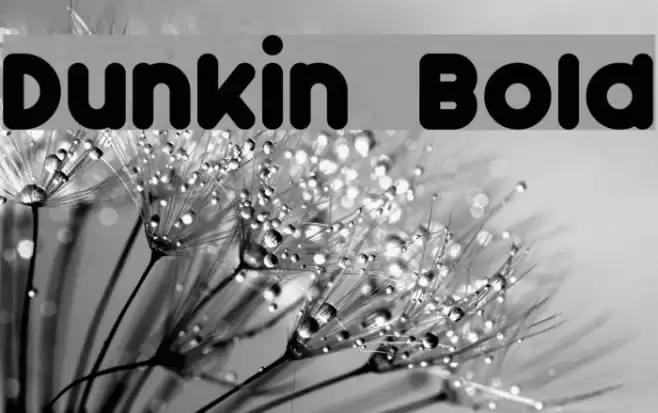 Dunkin Bold Font examples