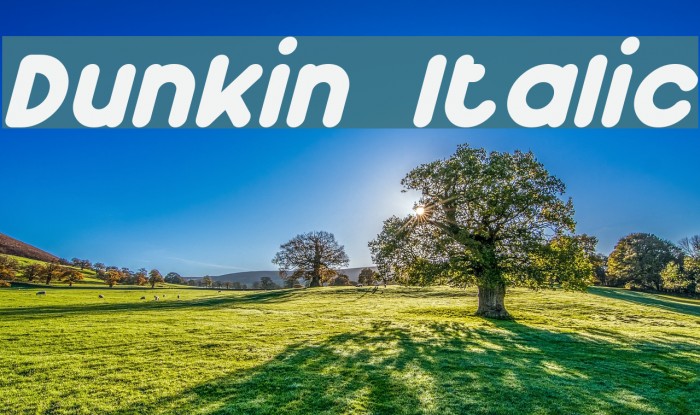 Dunkin Italic Font examples
