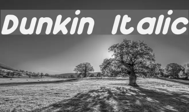 Dunkin Italic examples