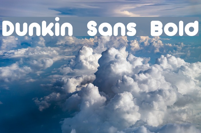 Dunkin Sans Bold Font examples