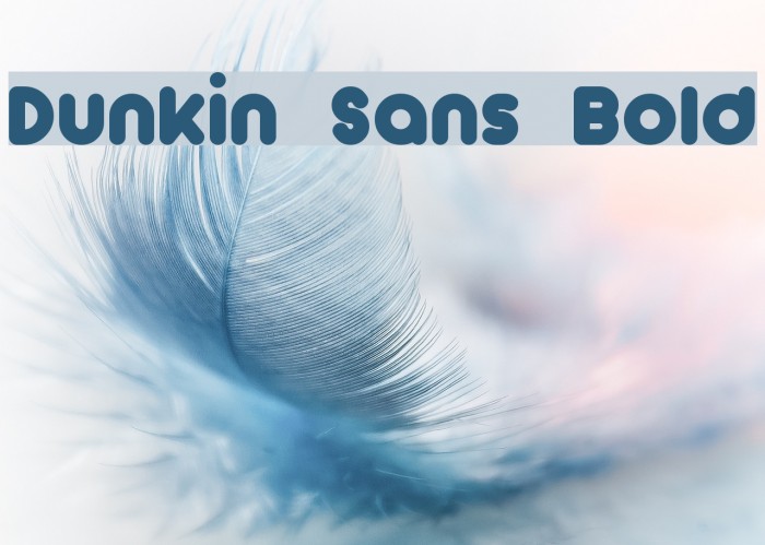 Dunkin Sans Bold Font examples