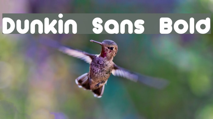 Dunkin Sans Bold Font examples