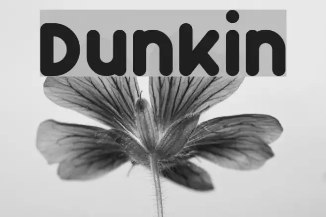 Dunkin Font examples