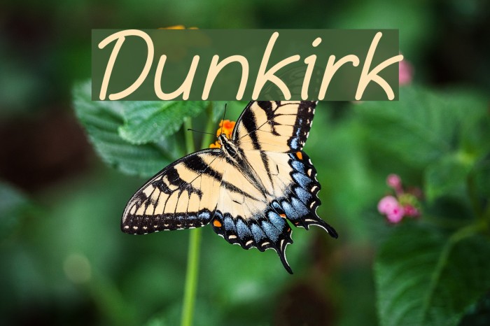 Dunkirk Font examples