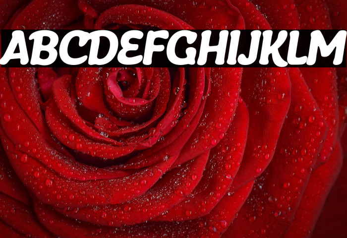 DunleyTrial-Regular Example 2