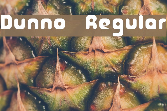 Dunno Regular Font examples