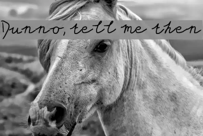 Dunno, tell me then Fonte examples