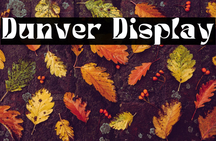 Dunver Display Example 1