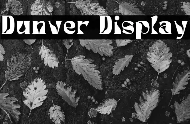 Dunver Display Example 1