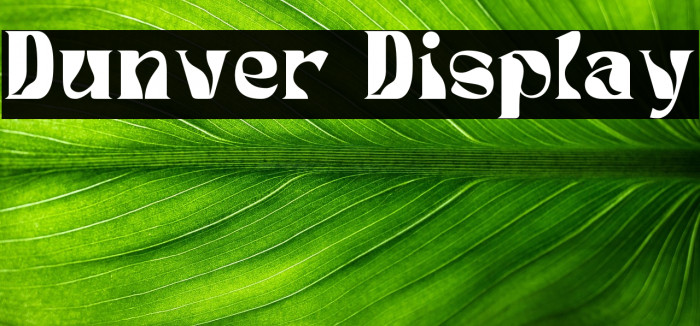 Dunver Display Example 2