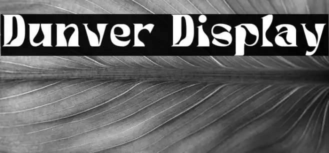 Dunver Display Example 2