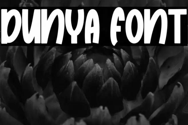 Dunya Font examples