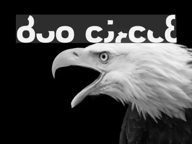 Duo Circle Font examples