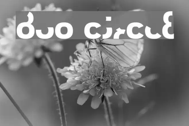 Duo Circle Font examples