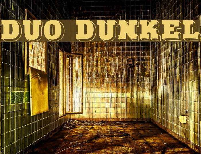 Duo Dunkel Font examples