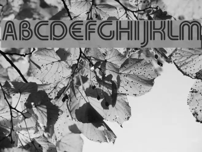 Duo-Line Regular Font examples