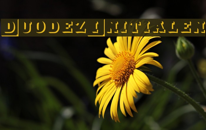 DuodezInitialen Font examples