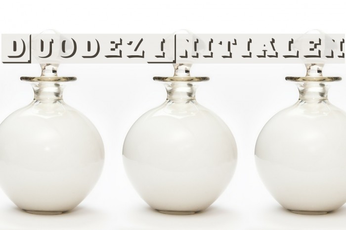 DuodezInitialen Font examples