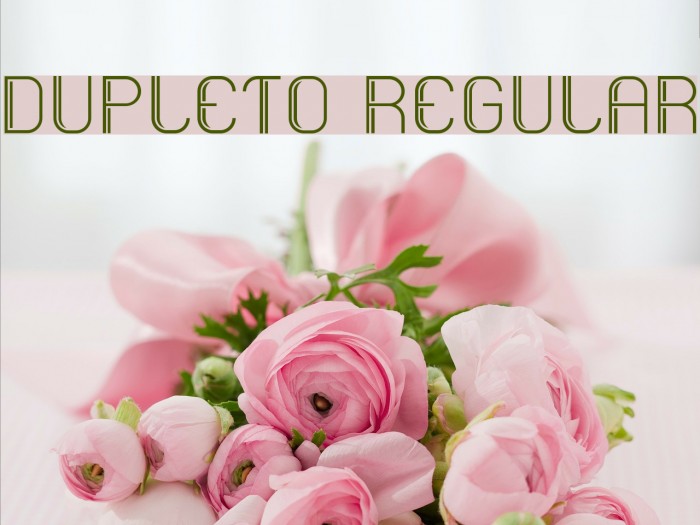 Dupleto Regular Font examples