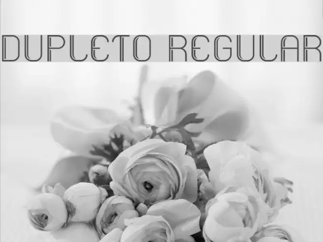 Dupleto Regular Example 1
